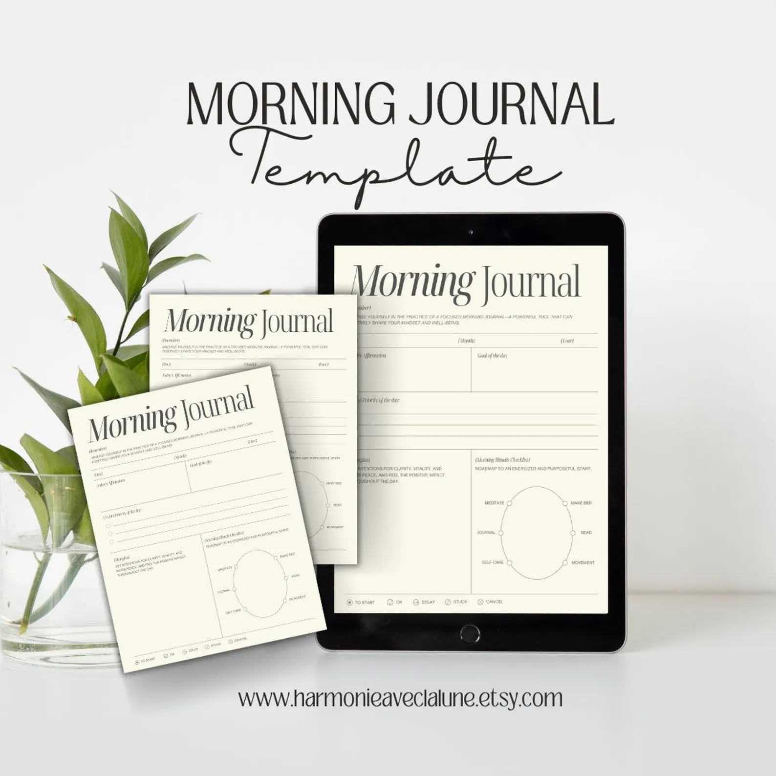 il 1588xN.6461824224 23jz