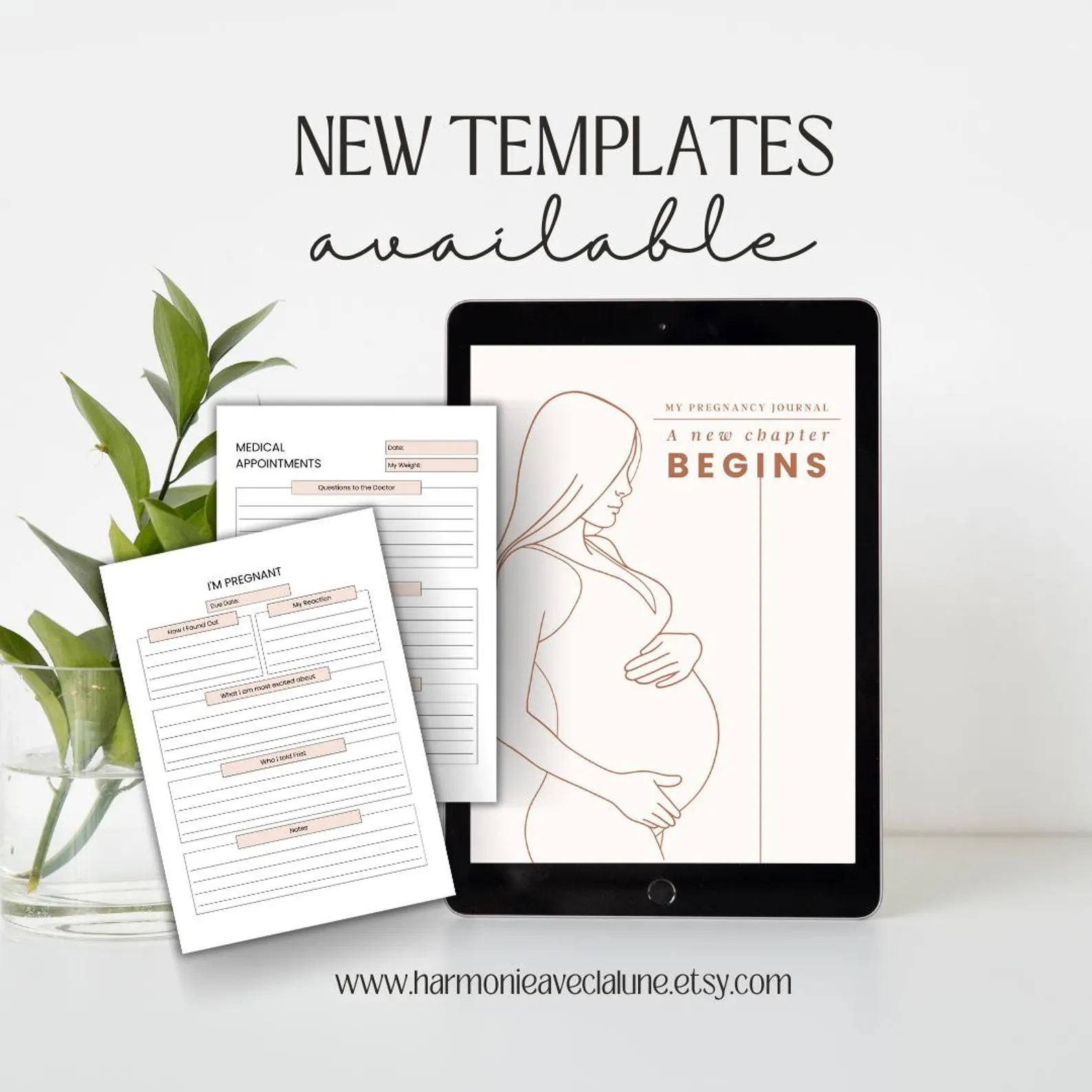 il 1588xN.6462310206 jzc9