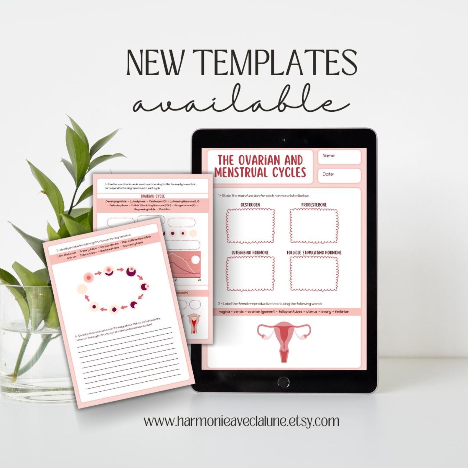 il 1588xN.6510017581 n2zk